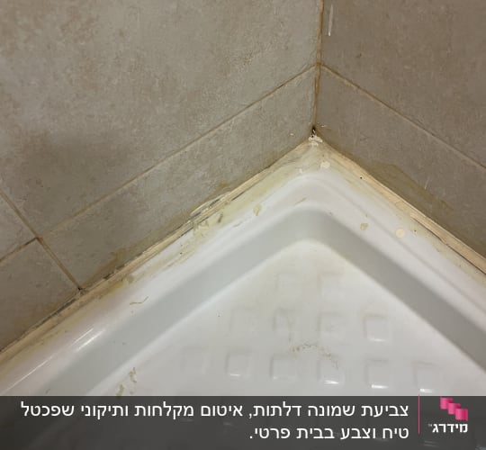 פינת מקלחת עם קירות אריחים ואיטום ישן